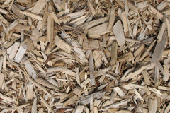 biomass boilers Bryncae