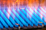 Bryncae gas fired boilers